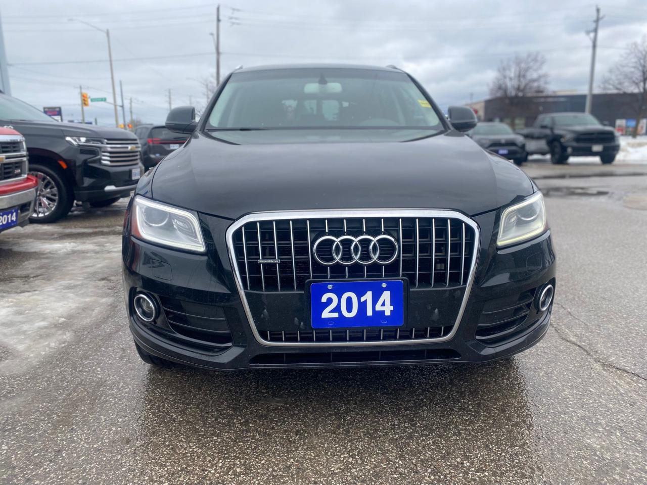 2014 Audi Q5 Progressiv AWD ~Nav ~ Heated Leather ~Sunroof Photo