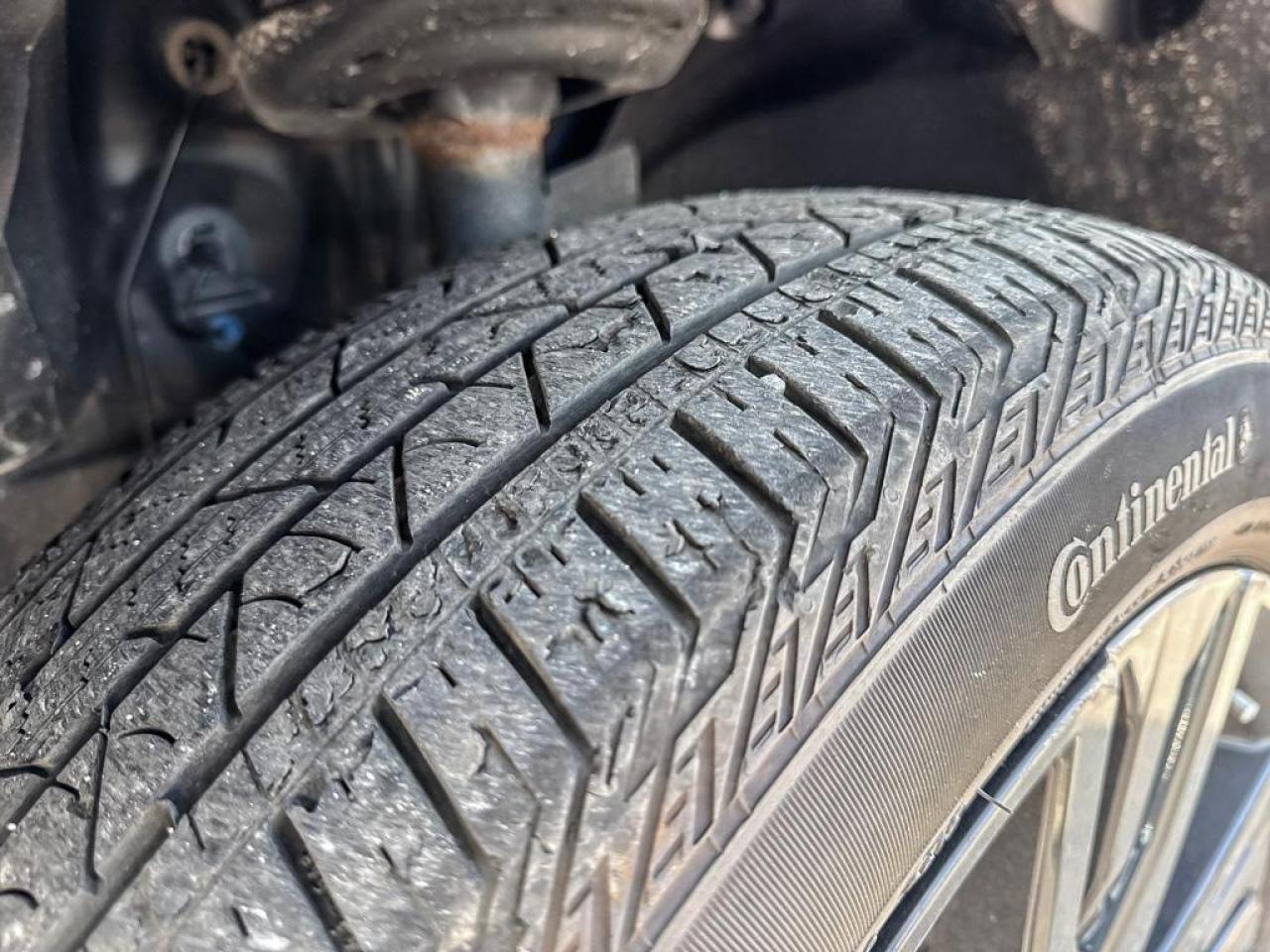 2019 Honda Passport SPORT Photo