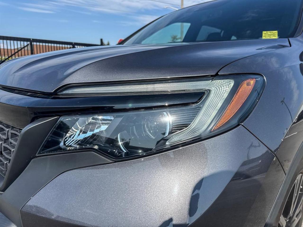 2019 Honda Passport SPORT Photo