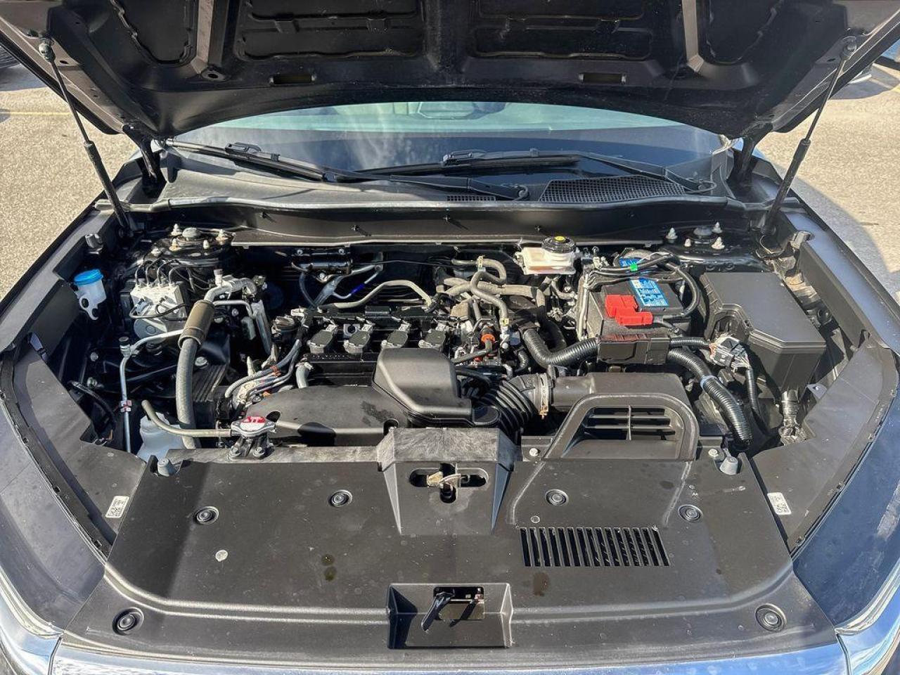 2024 Honda CR-V LX Photo