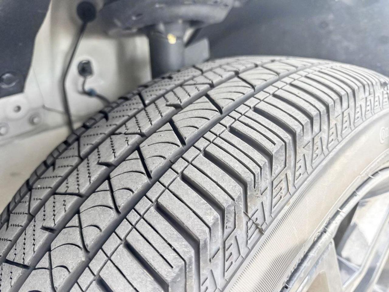 2025 Honda Passport Black Edition Photo