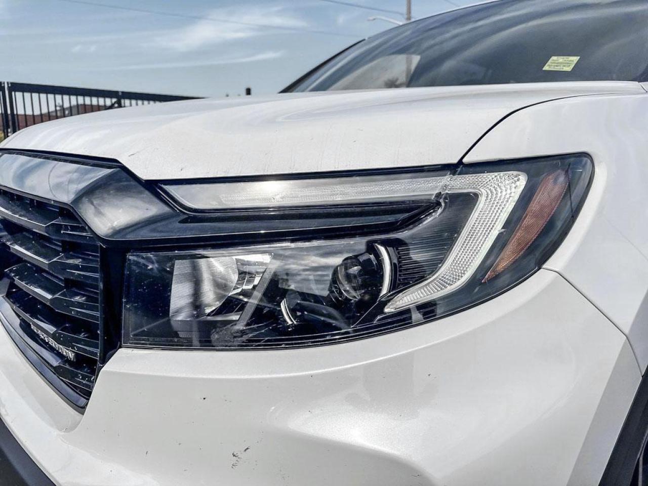 2025 Honda Passport Black Edition Photo