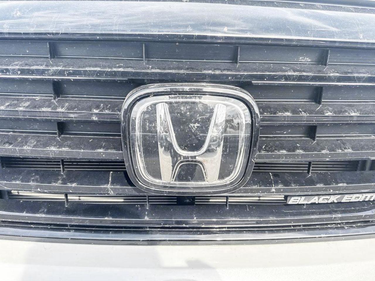 2025 Honda Passport Black Edition Photo
