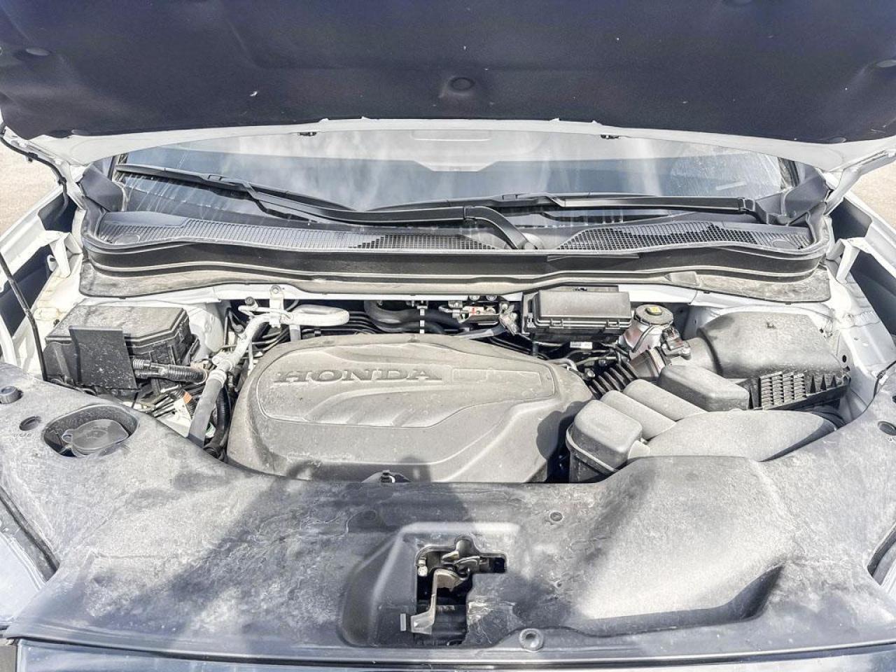 2025 Honda Passport Black Edition Photo