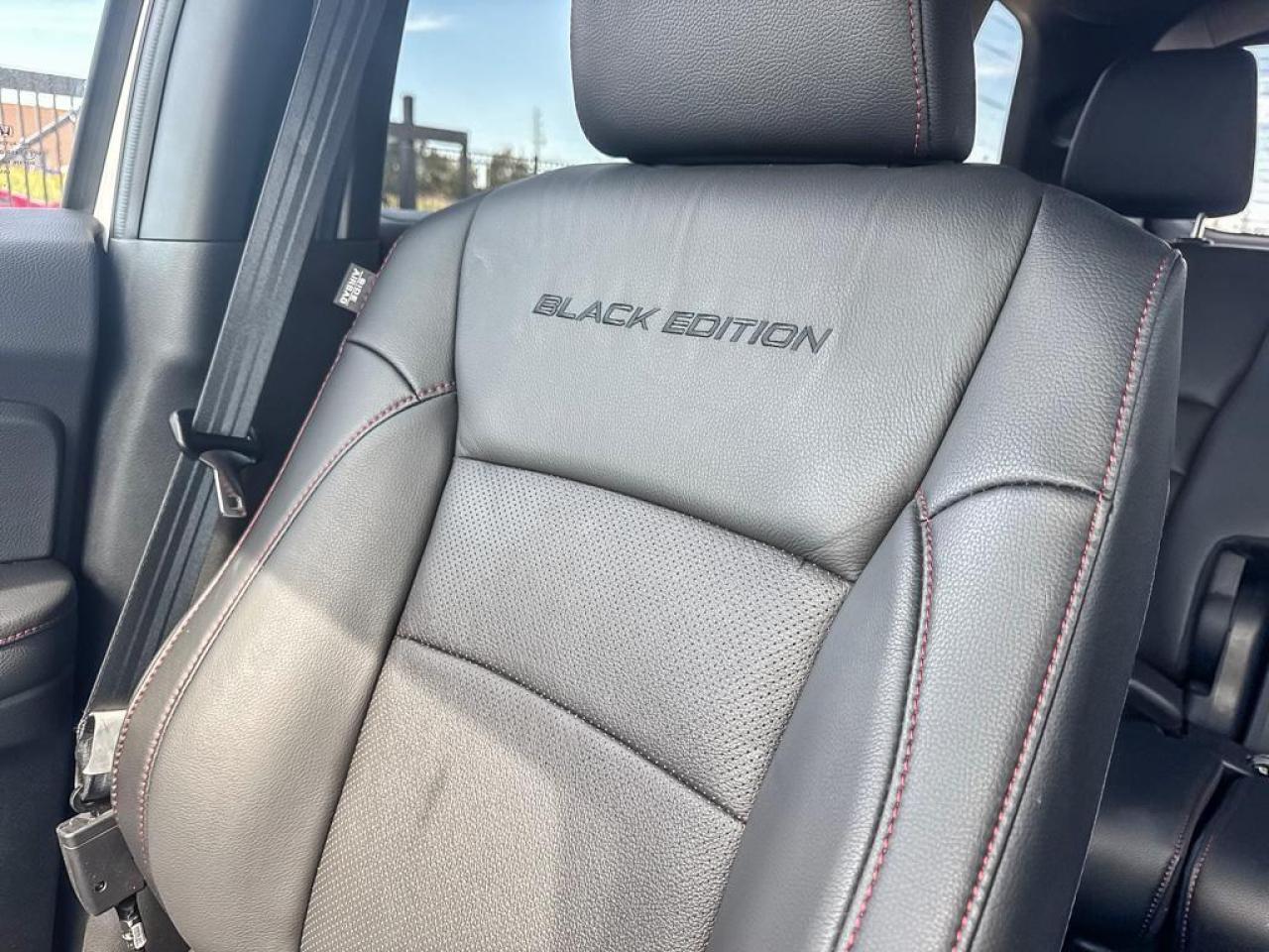 2025 Honda Passport Black Edition Photo