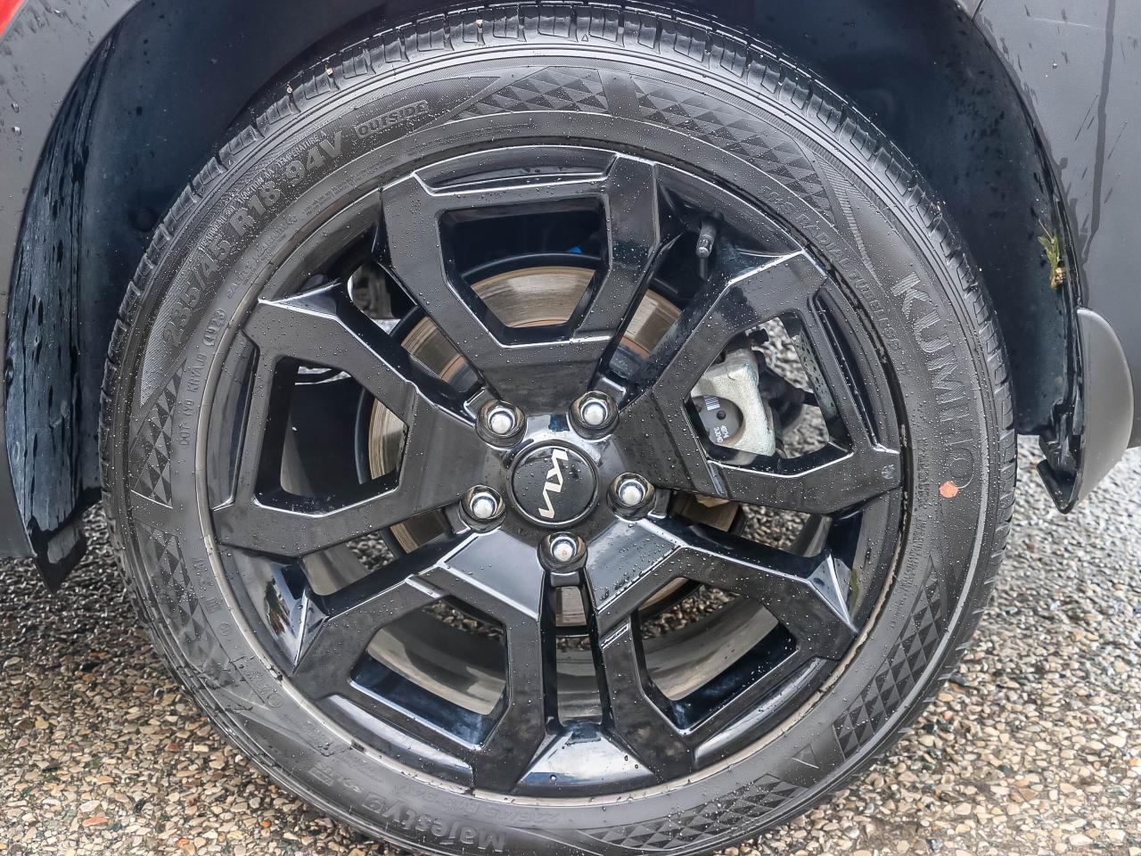 2024 Kia Seltos X-Line AWD Photo