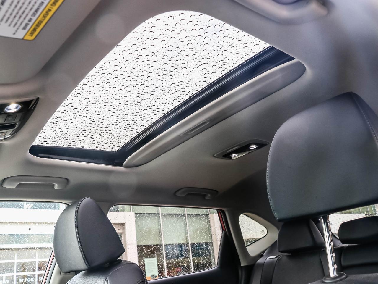 2024 Kia Seltos X-Line AWD Photo