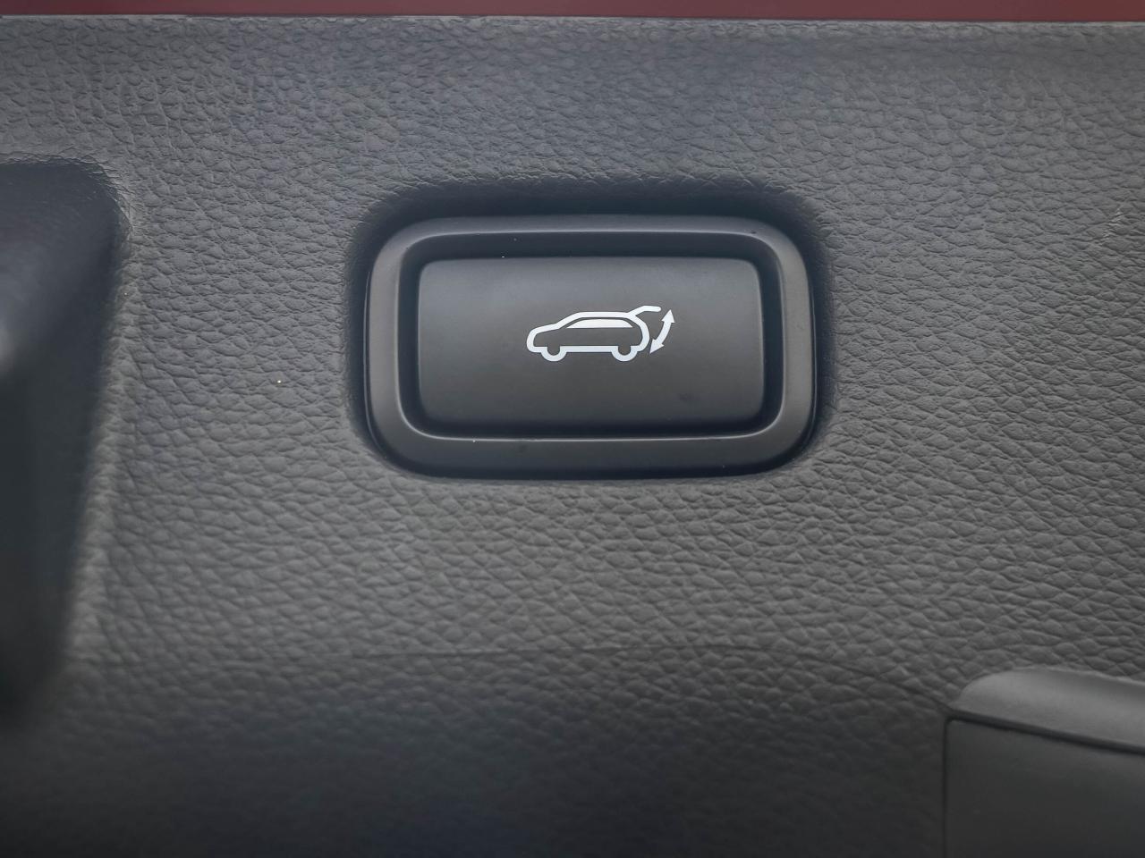 2024 Kia Seltos X-Line AWD Photo