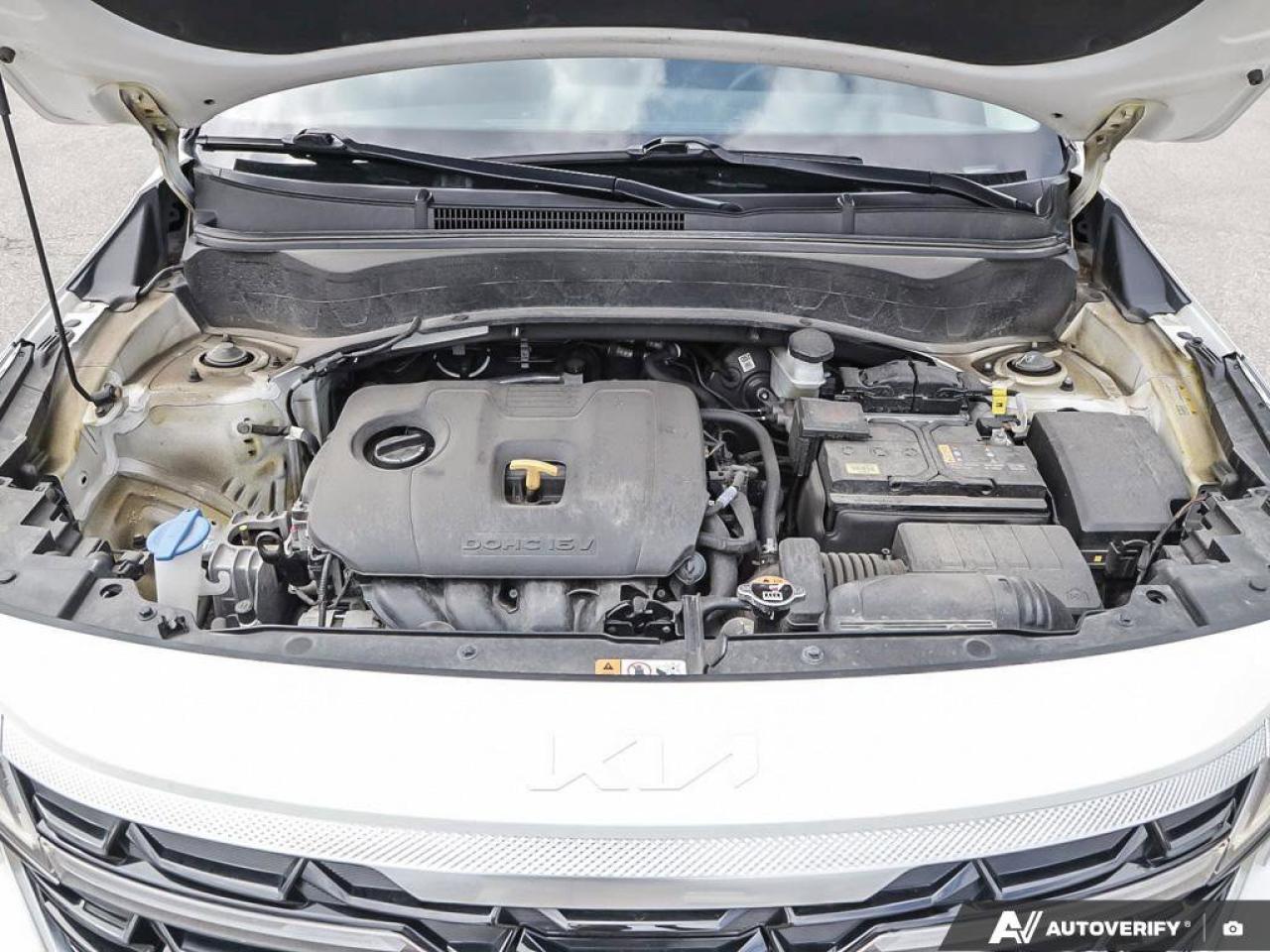 2024 Kia Seltos EX   Back-up Camera   Leather   Heated Seats   App Photo