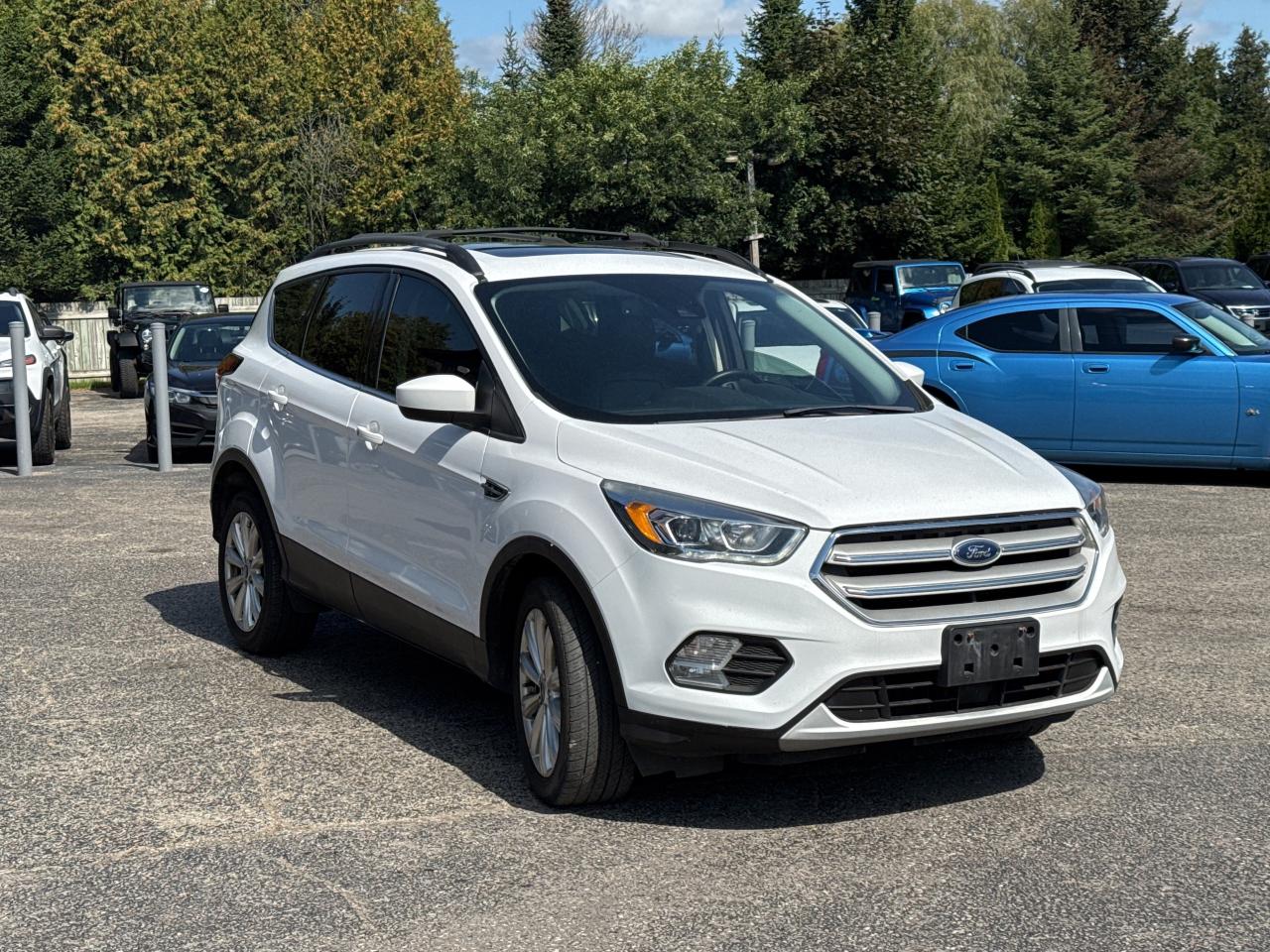2019 Ford Escape SEL, Bluetooth, Nav, Back Up Cam Photo