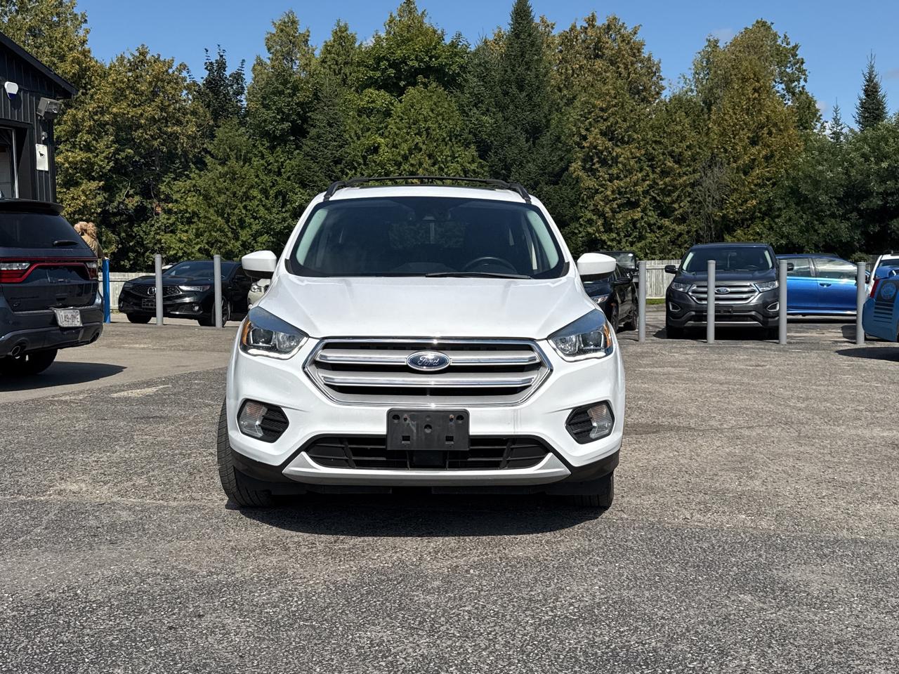 2019 Ford Escape SEL, Bluetooth, Nav, Back Up Cam Photo