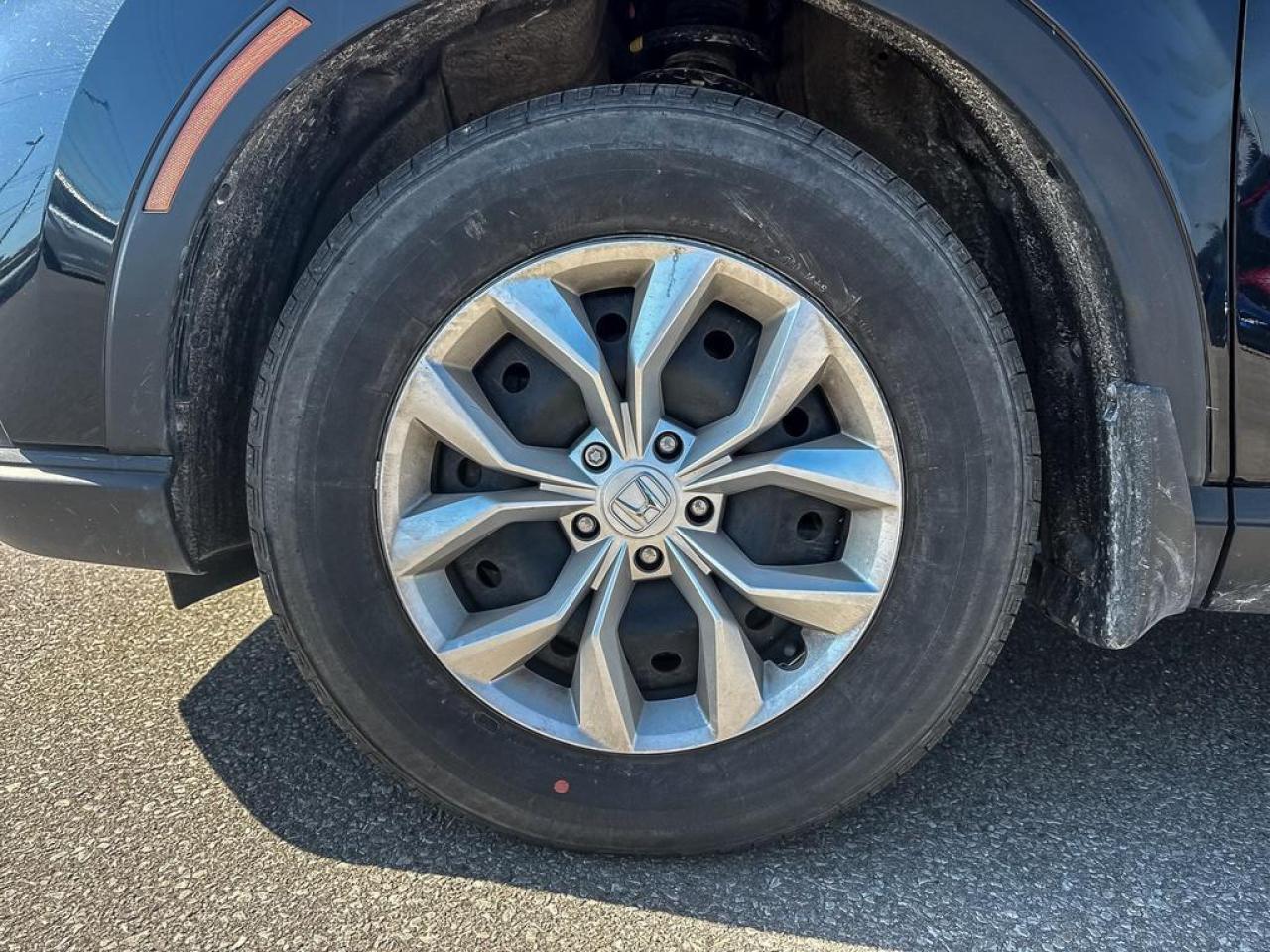 2025 Honda CR-V LX Photo