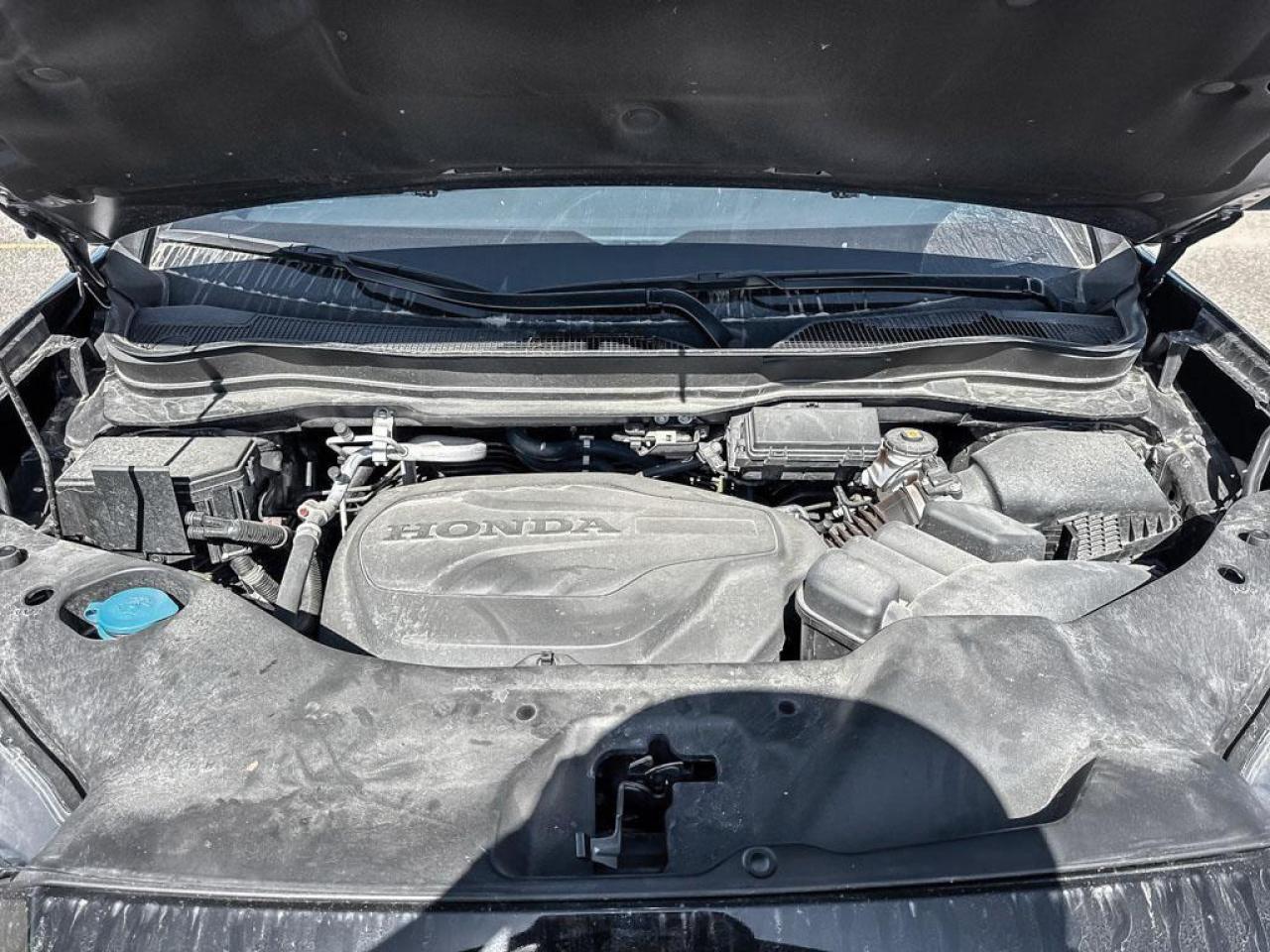 2024 Honda Ridgeline TrailSport Photo