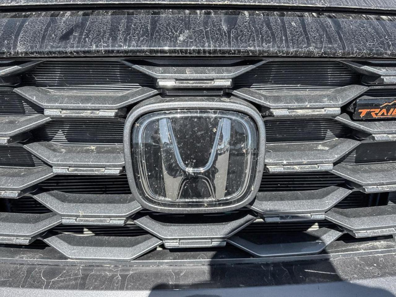 2024 Honda Ridgeline TrailSport Photo