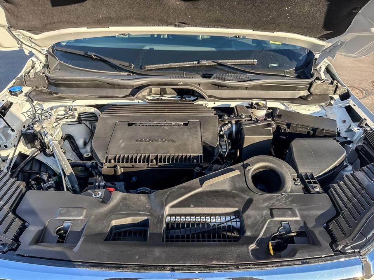 2025 Honda Pilot Touring Photo