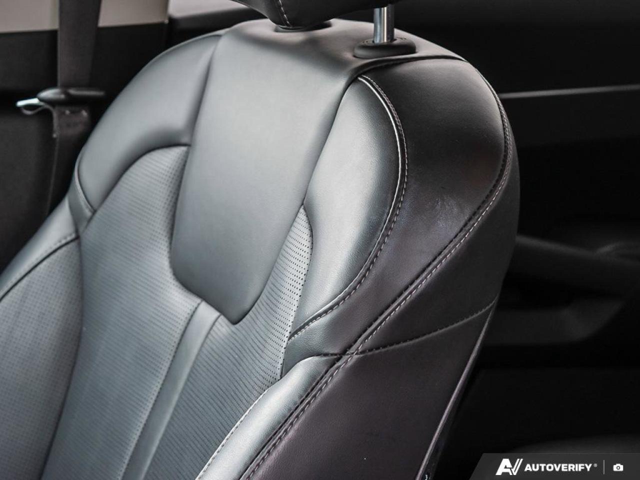 2024 Kia Sorento EX   Apple CarPlay   Backup Camera   Heated Seats Photo