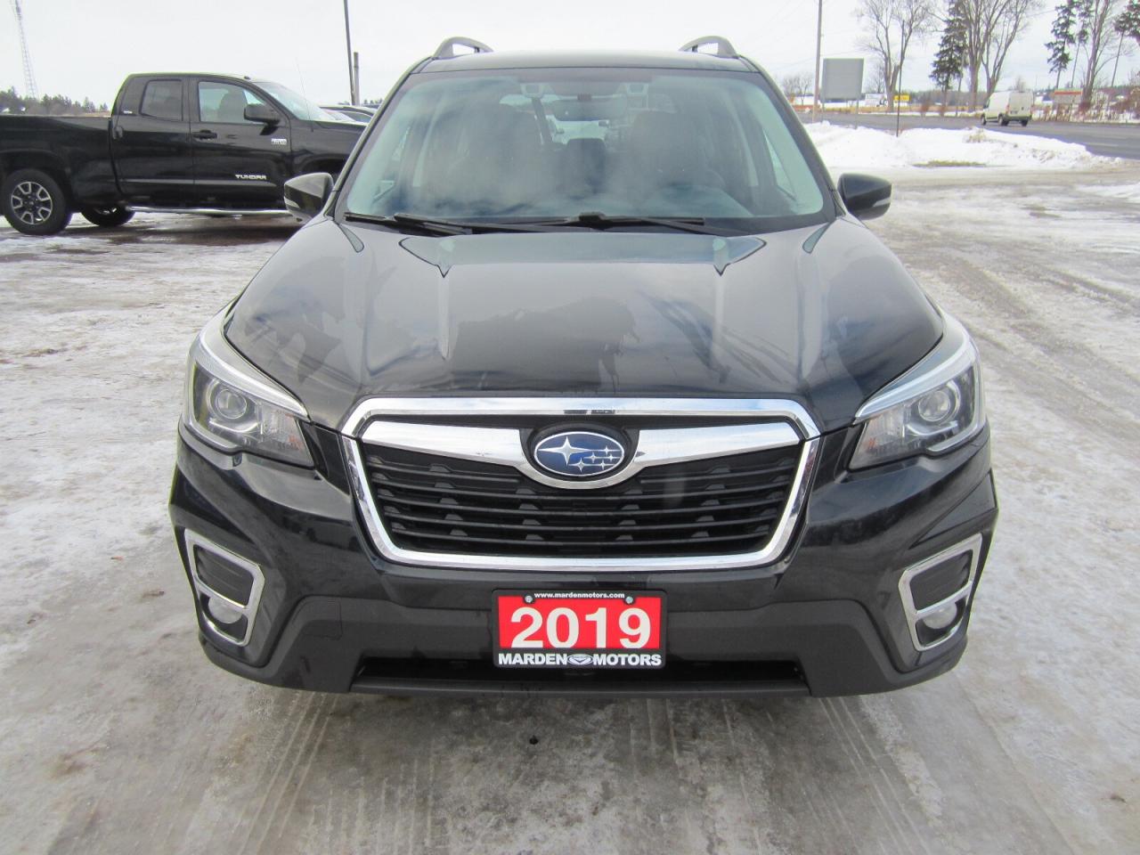 2019 Subaru Forester 2.5i Limited w-EyeSight Pkg NO ACCIDENTS Photo3