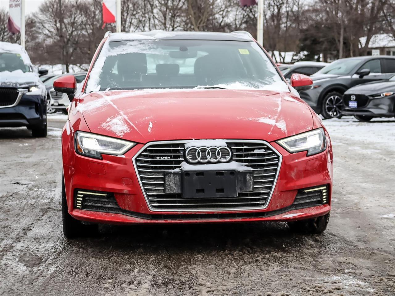 2017 Audi A3 e-tron Photo