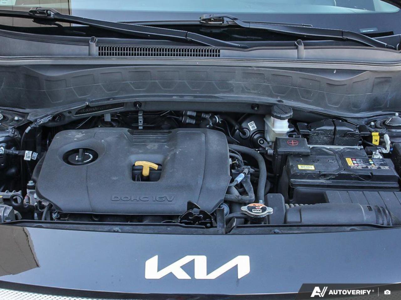 2024 Kia Seltos EX   AWD   Leather   Sunroof   Apple CarPlay   Hea Photo