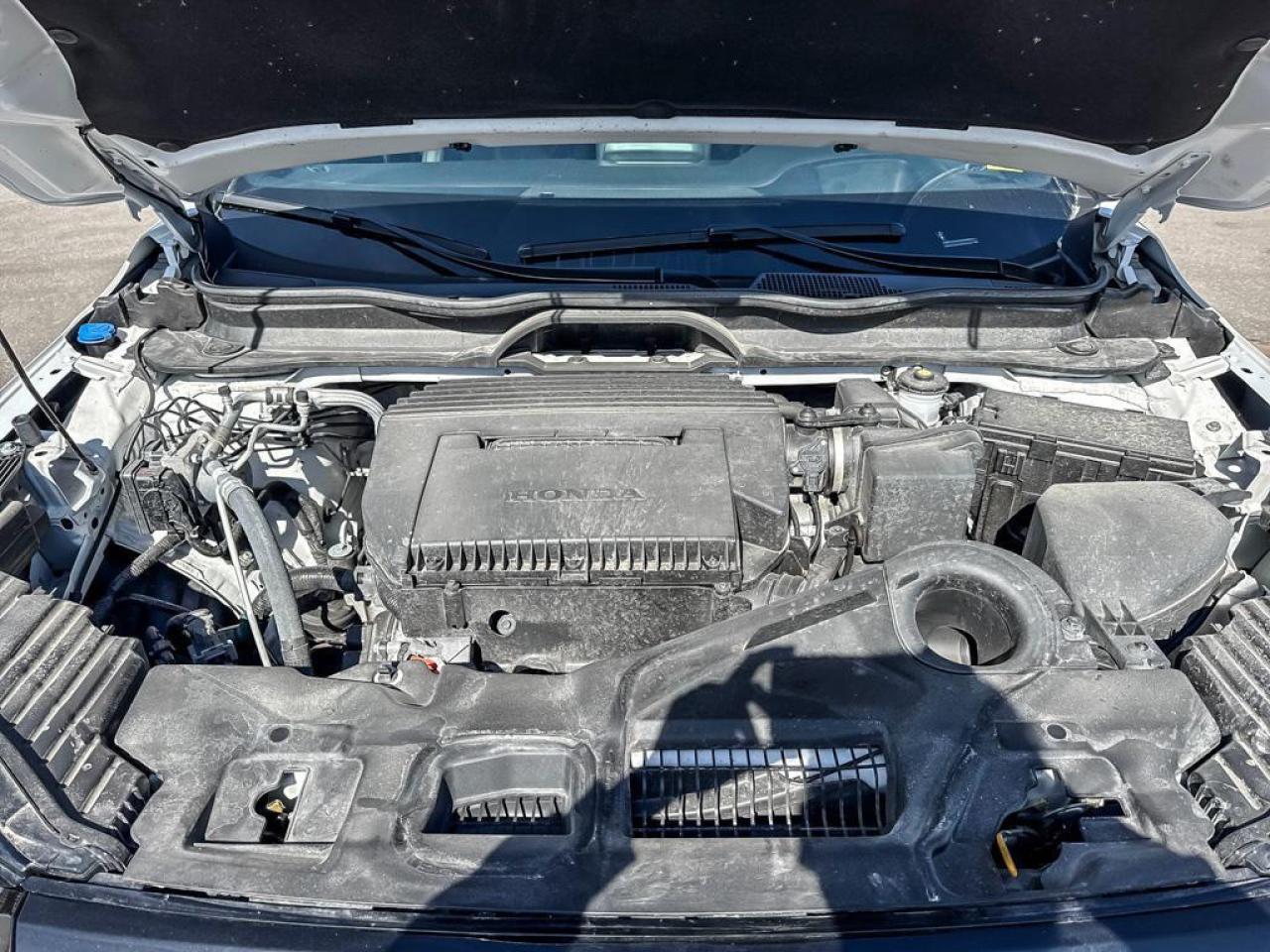 2025 Honda Pilot Black Edition Photo