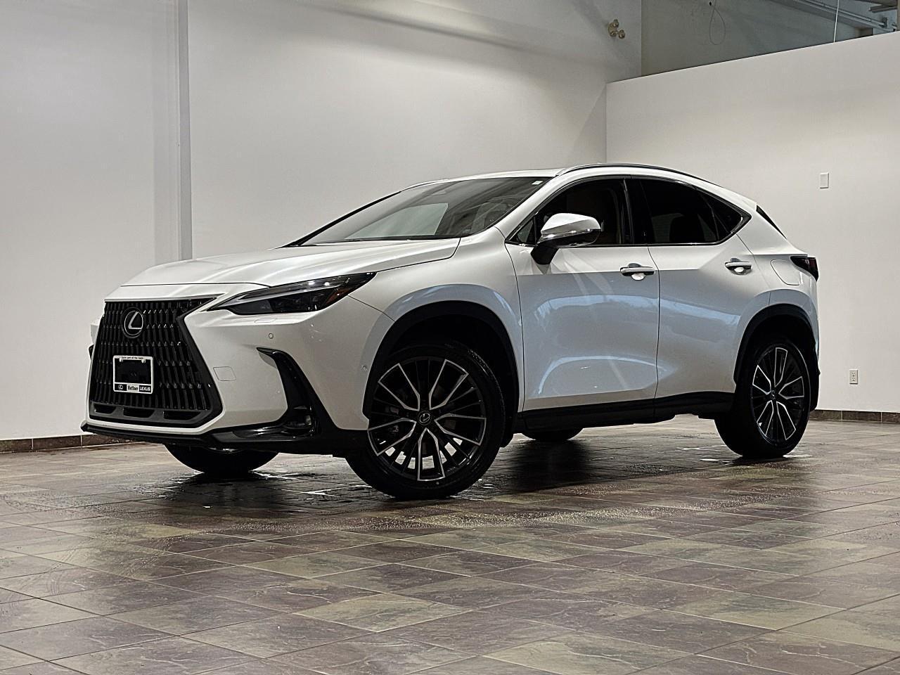 2022 Lexus NX 450h+  Photo