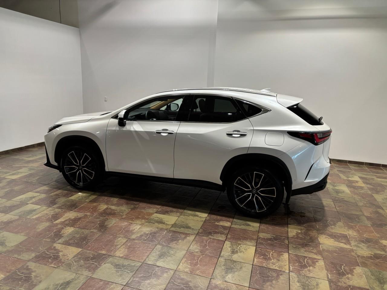 2022 Lexus NX 450h+  Photo