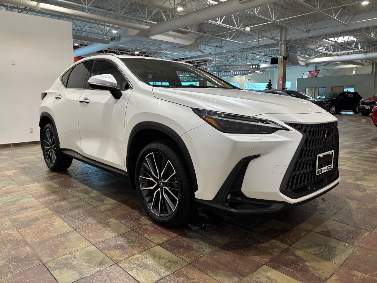 2022 Lexus NX 450h+  Photo