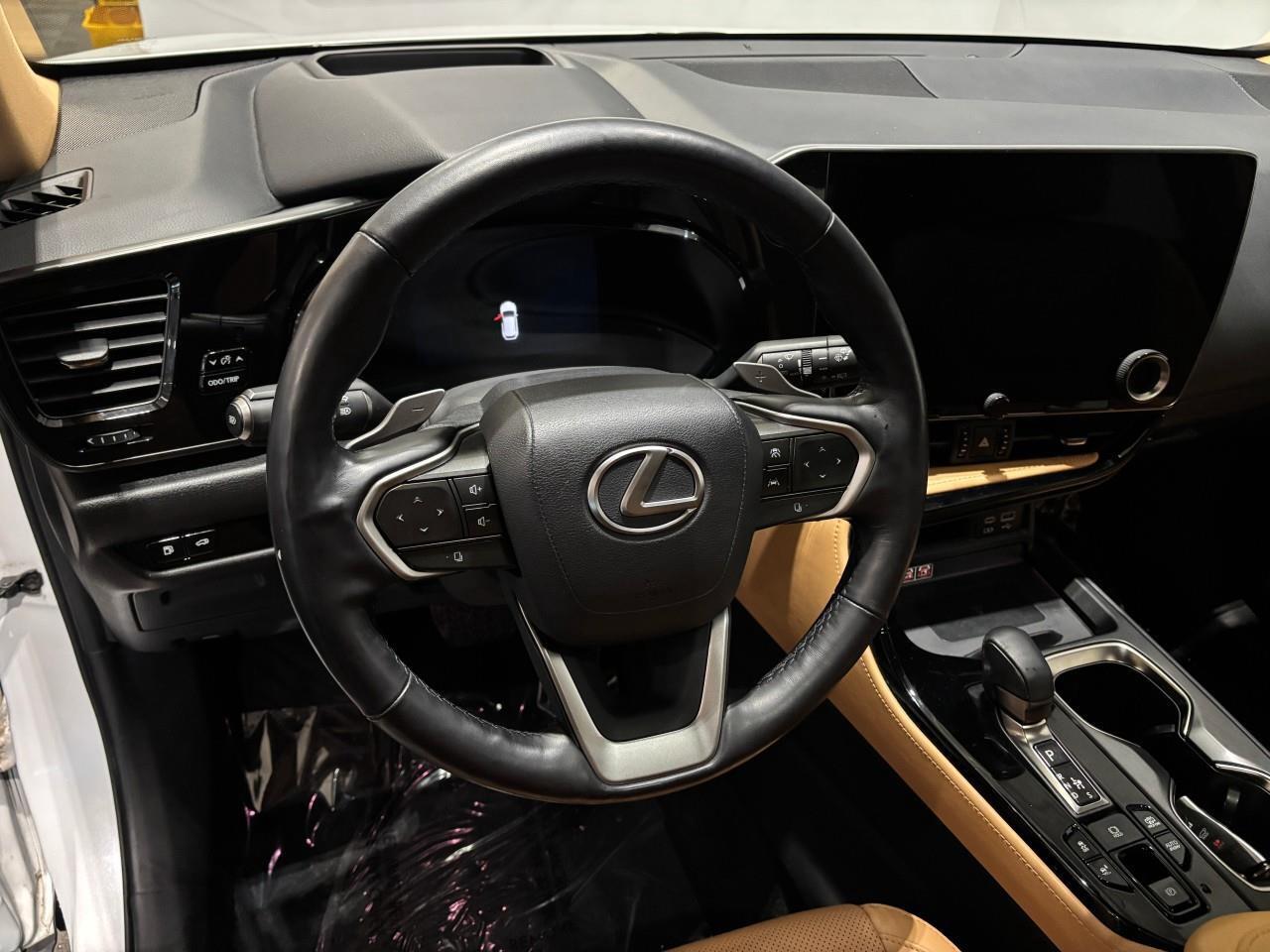 2022 Lexus NX 450h+  Photo