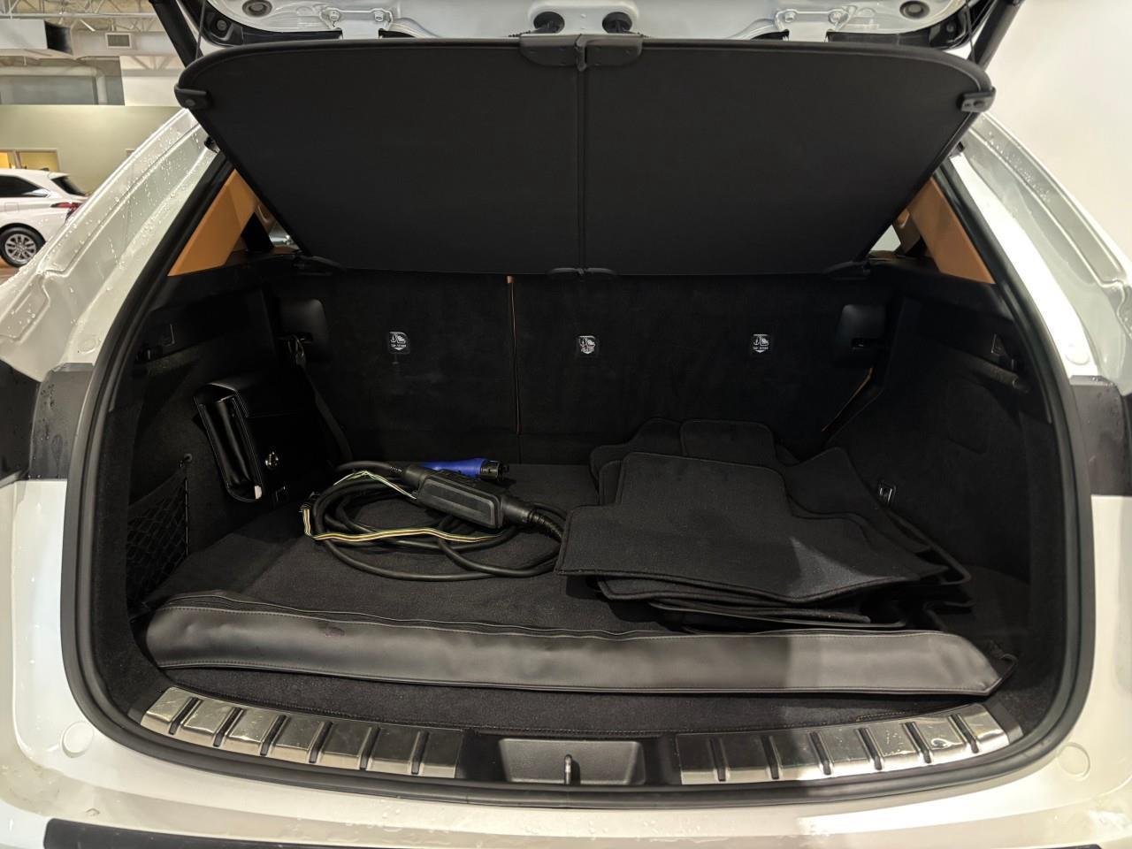 2022 Lexus NX 450h+  Photo