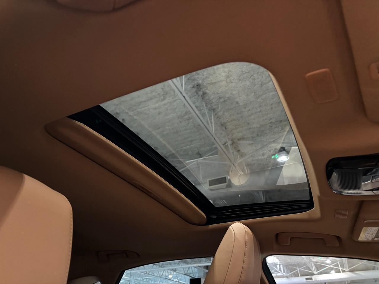 2022 Lexus NX 450h+  Photo