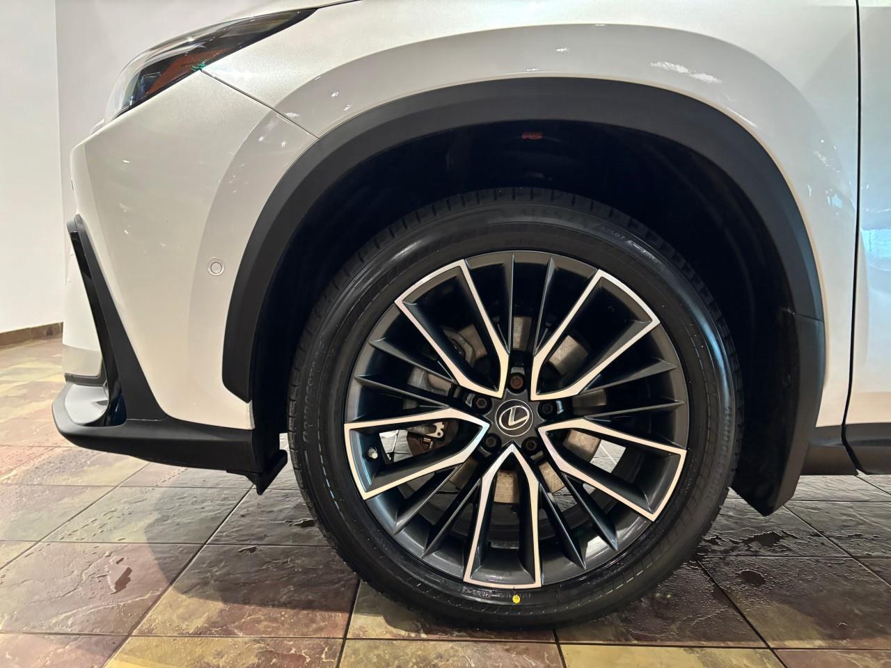 2022 Lexus NX 450h+  Photo