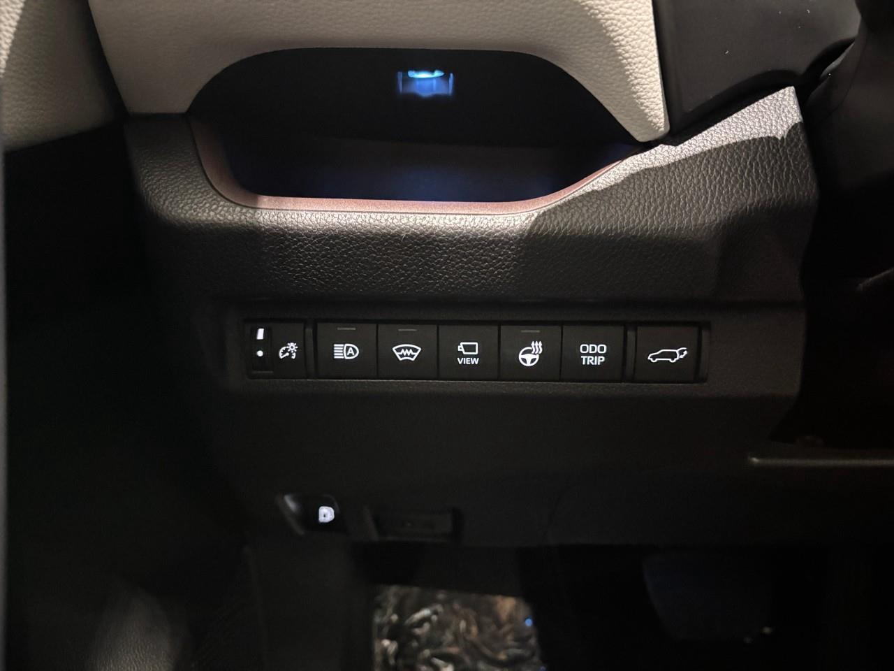 2025 Toyota RAV4 Hybrid Limited Photo