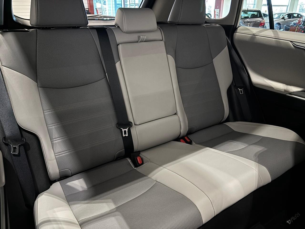 2025 Toyota RAV4 Hybrid Limited Photo