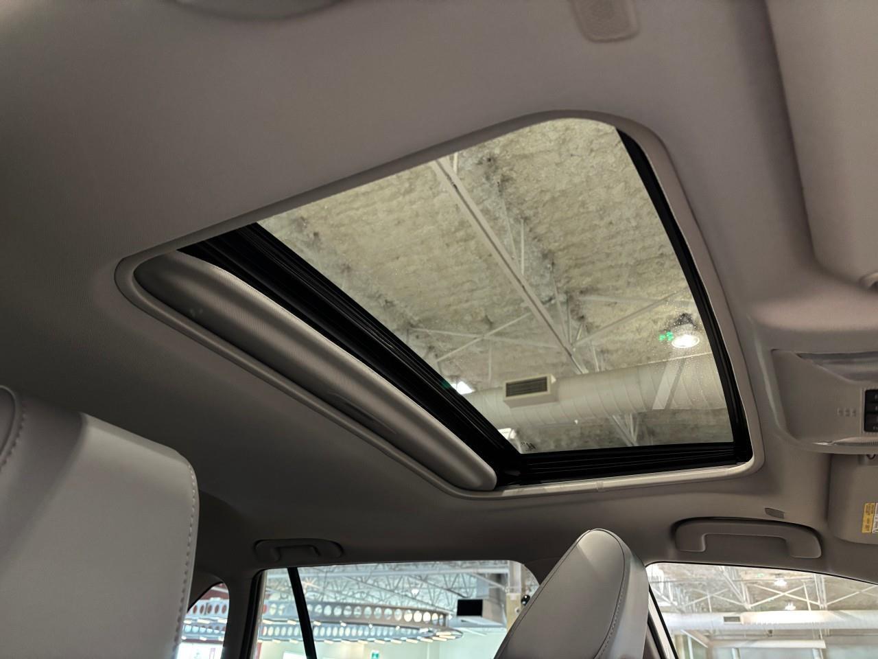 2025 Toyota RAV4 Hybrid Limited Photo