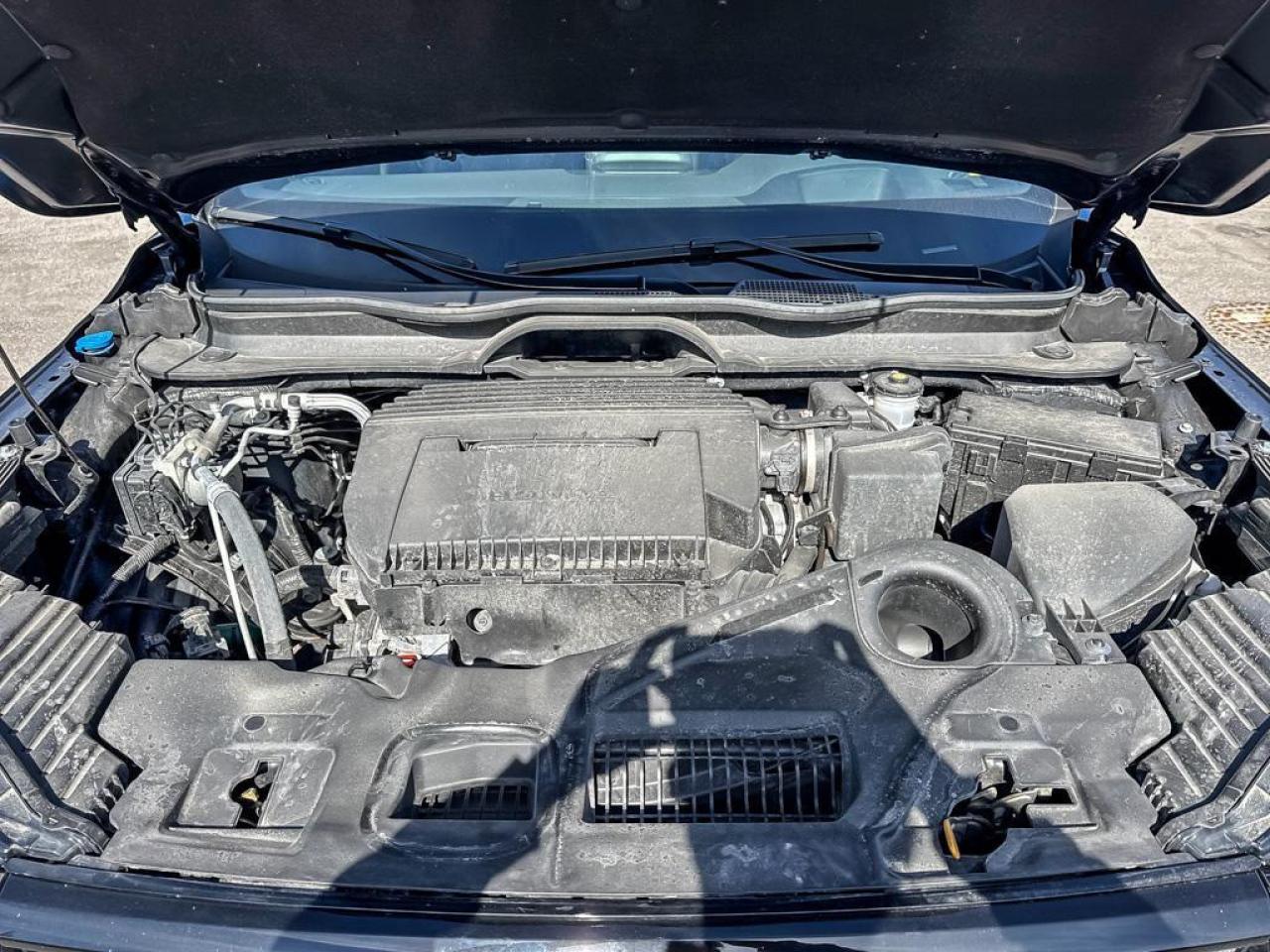 2025 Honda Pilot Black Edition Photo