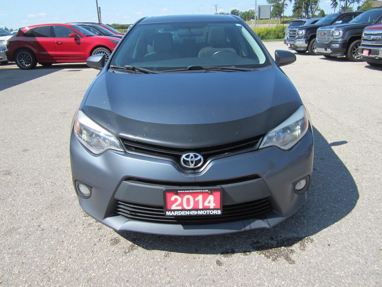 2014 Toyota Corolla 4dr Sdn CVT LE NO ACCIDENTS Photo3