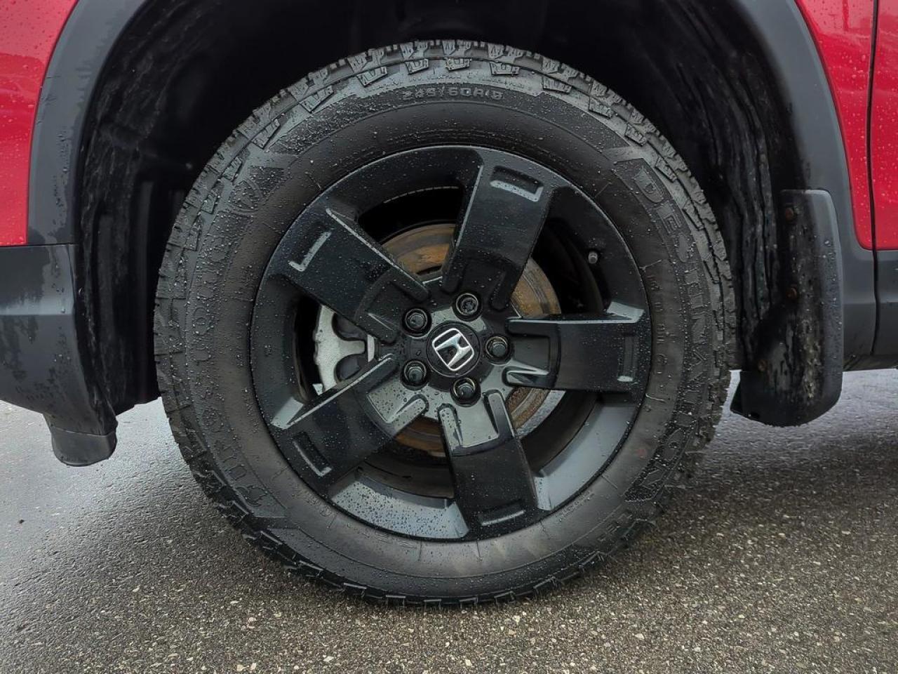 2025 Honda Ridgeline Black Edition Photo