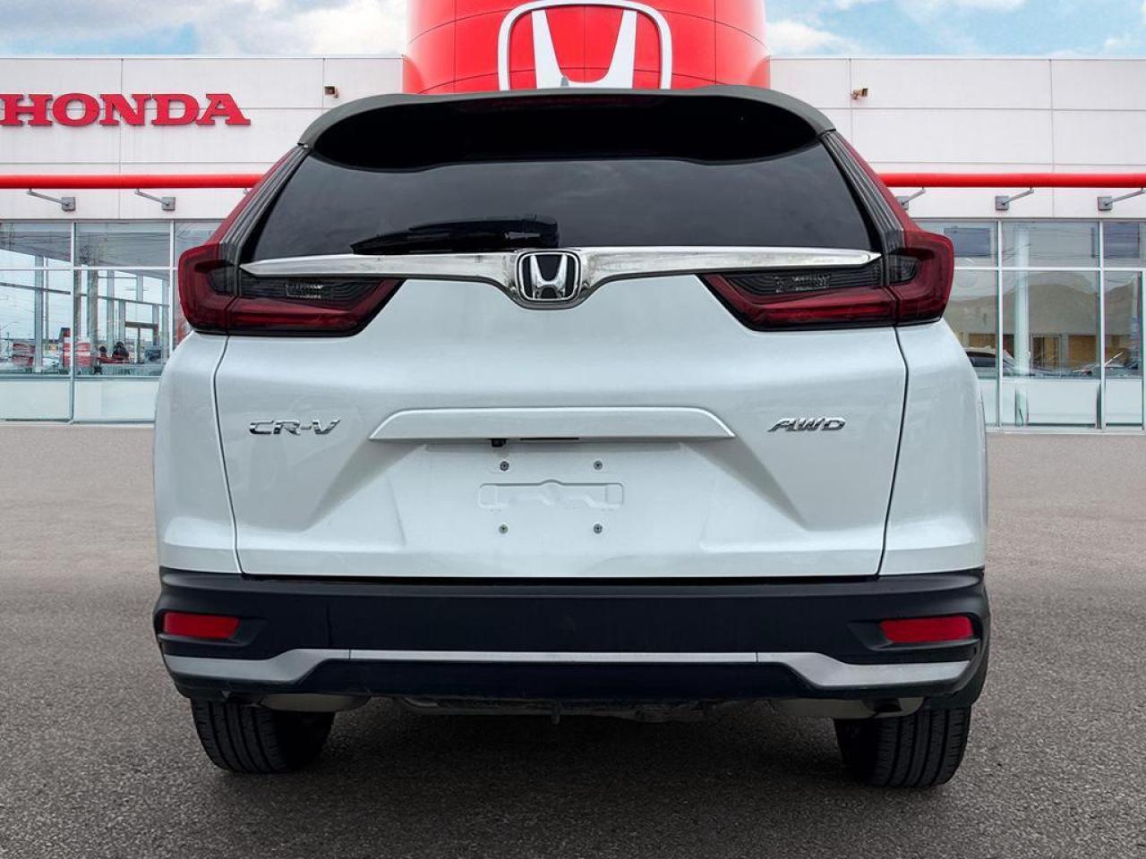 2020 Honda CR-V EX-L Photo