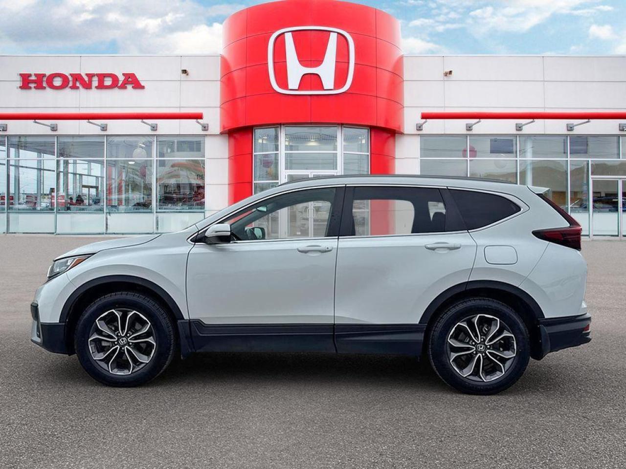 2020 Honda CR-V EX-L Photo