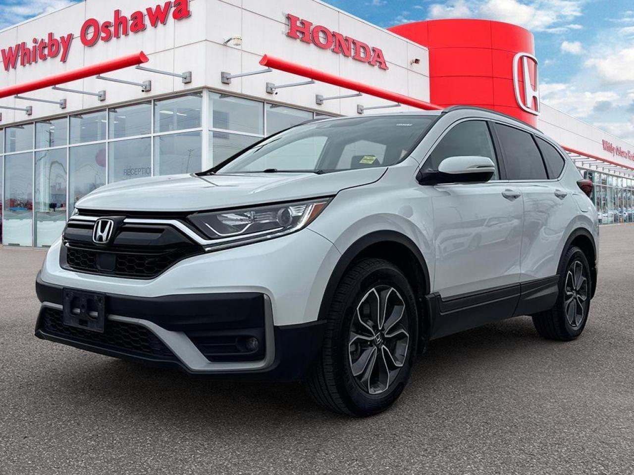 2020 Honda CR-V EX-L Photo