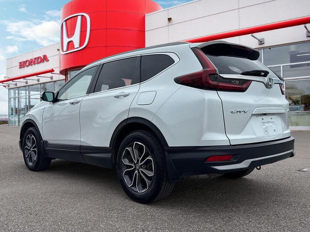 2020 Honda CR-V EX-L Photo3