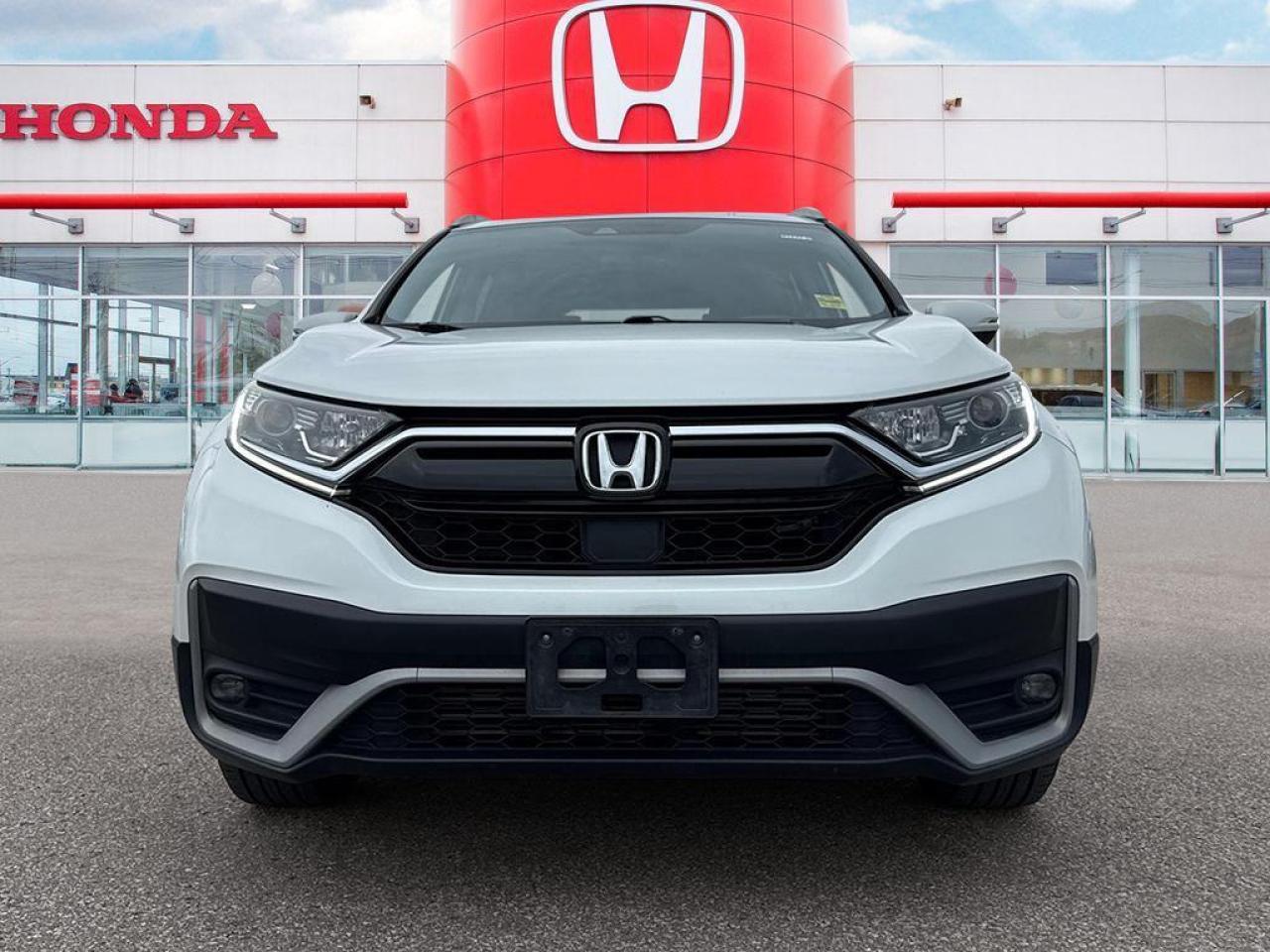 2020 Honda CR-V EX-L Photo