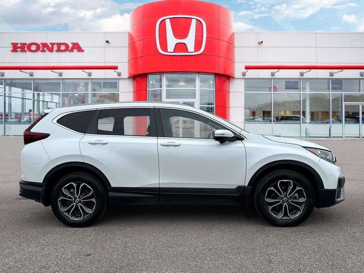 2020 Honda CR-V EX-L Photo