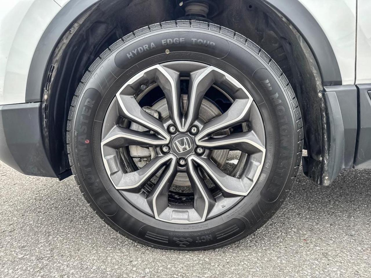 2020 Honda CR-V EX-L Photo