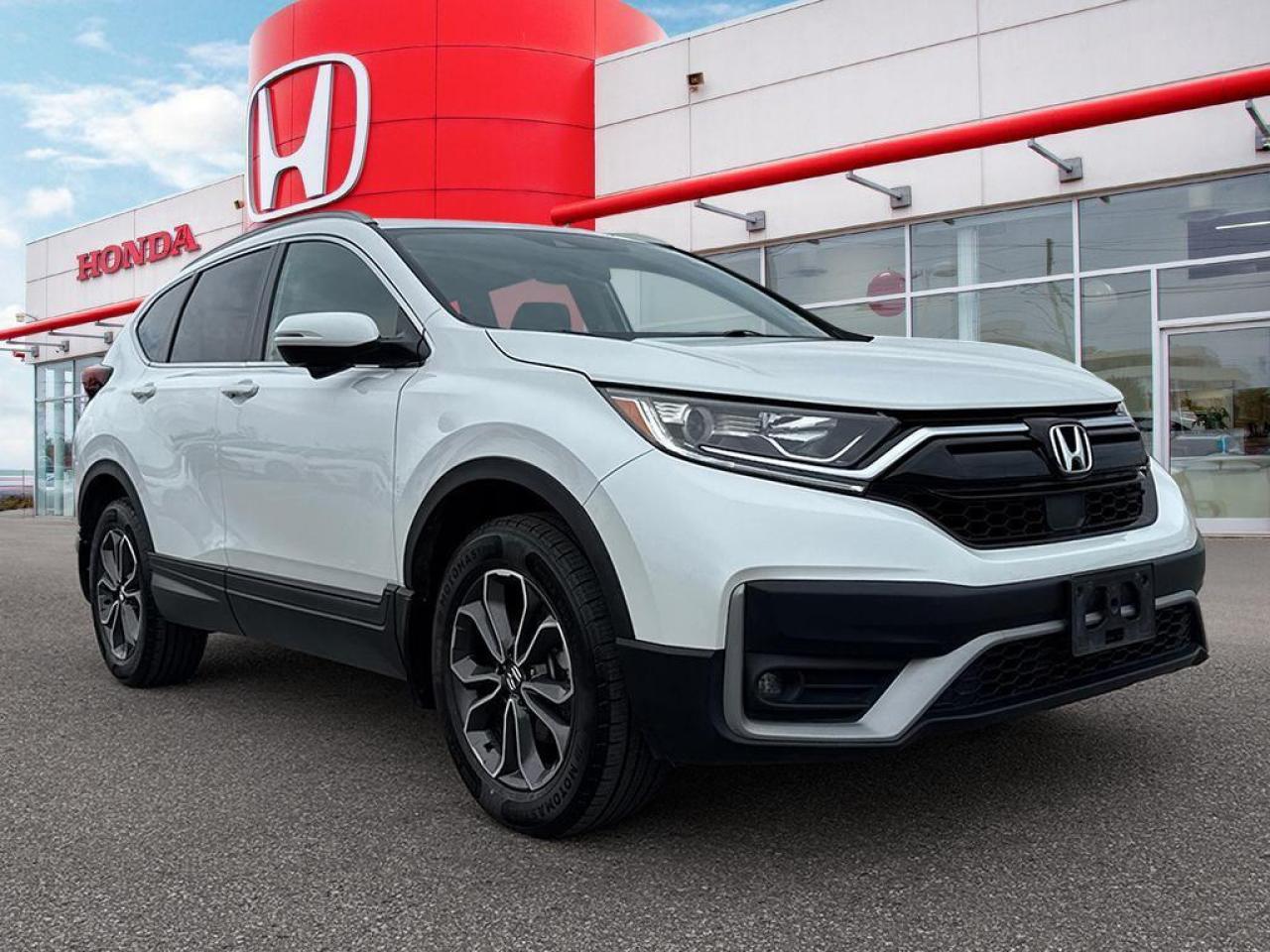 2020 Honda CR-V EX-L Photo