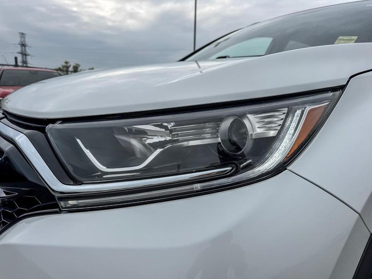 2020 Honda CR-V EX-L Photo