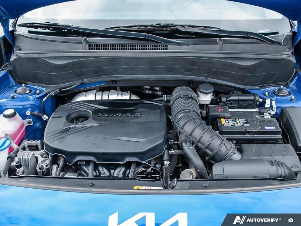 2023 Kia Seltos SX Turbo   Apple CarPlay  Cooled Seats   Heated St Photo