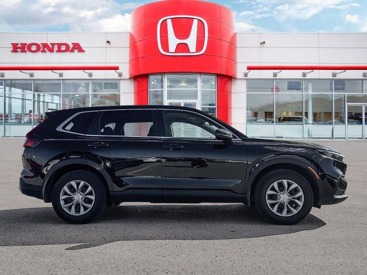 2024 Honda CR-V LX Photo