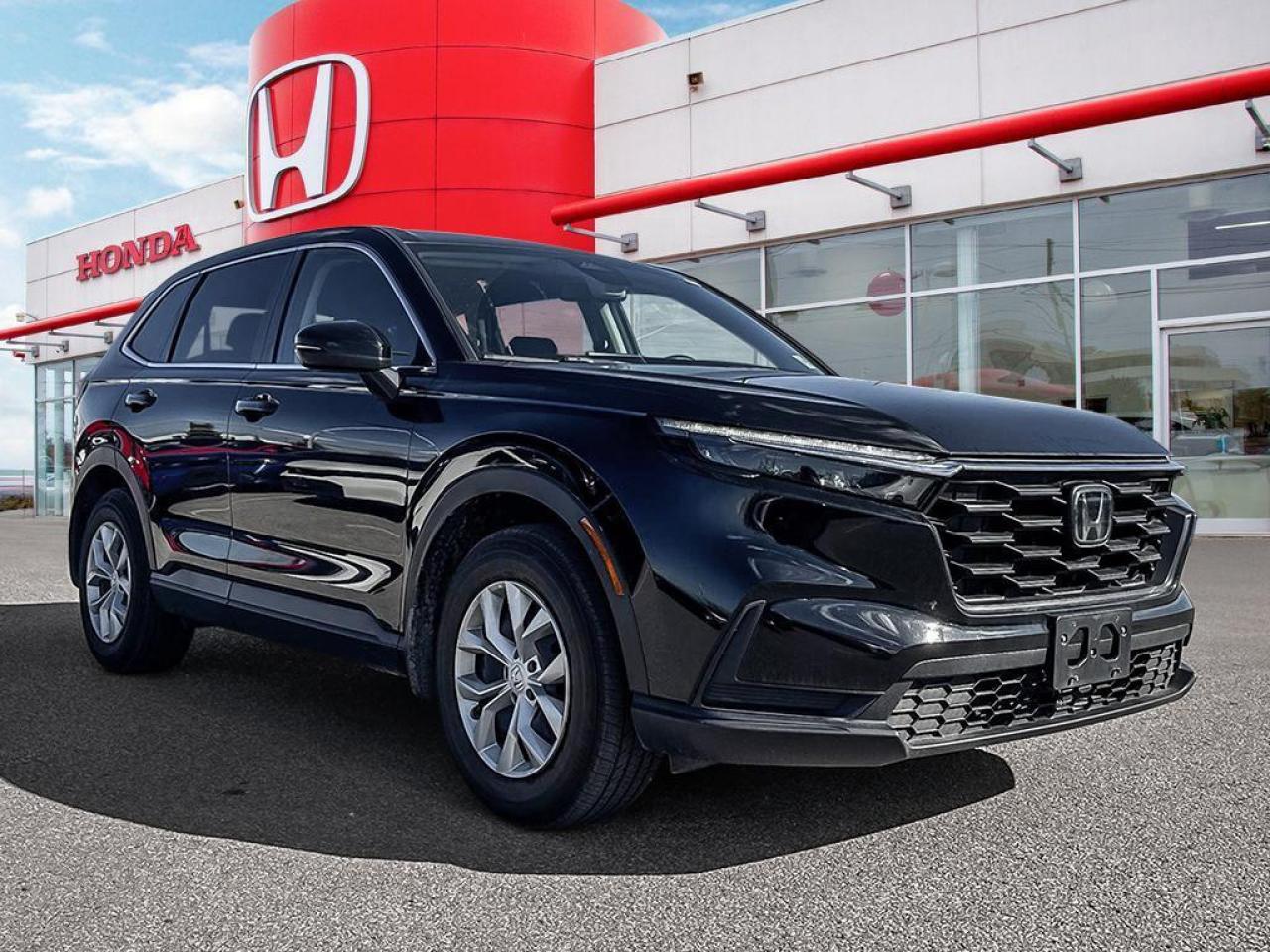 2024 Honda CR-V LX Photo