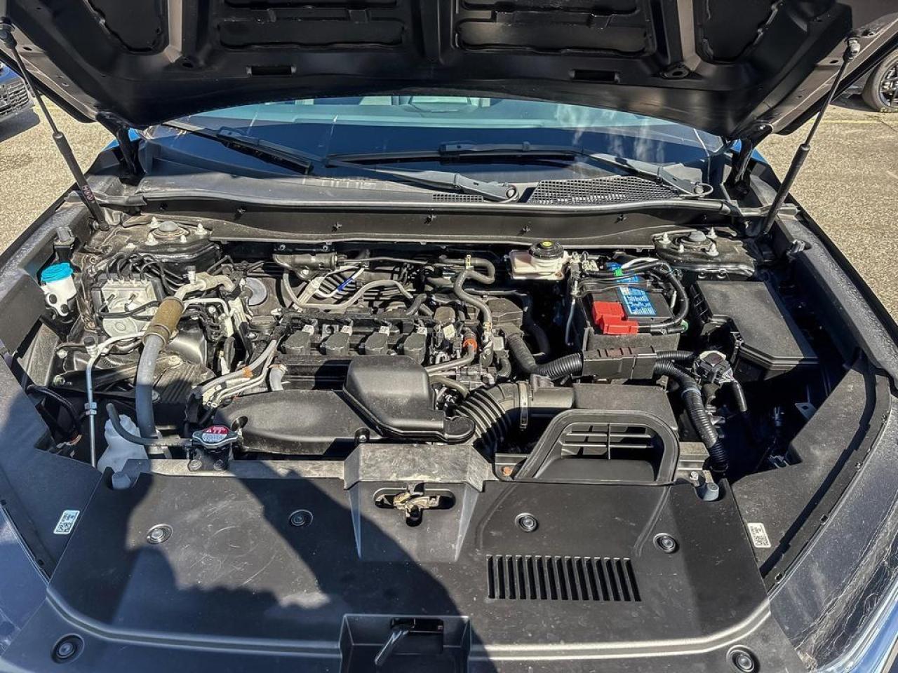 2024 Honda CR-V LX Photo